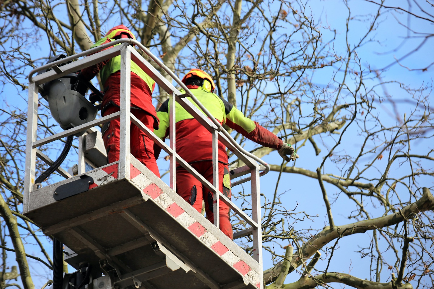 A picture containing outdoor, tree, sky, firefighter

Description automatically generated